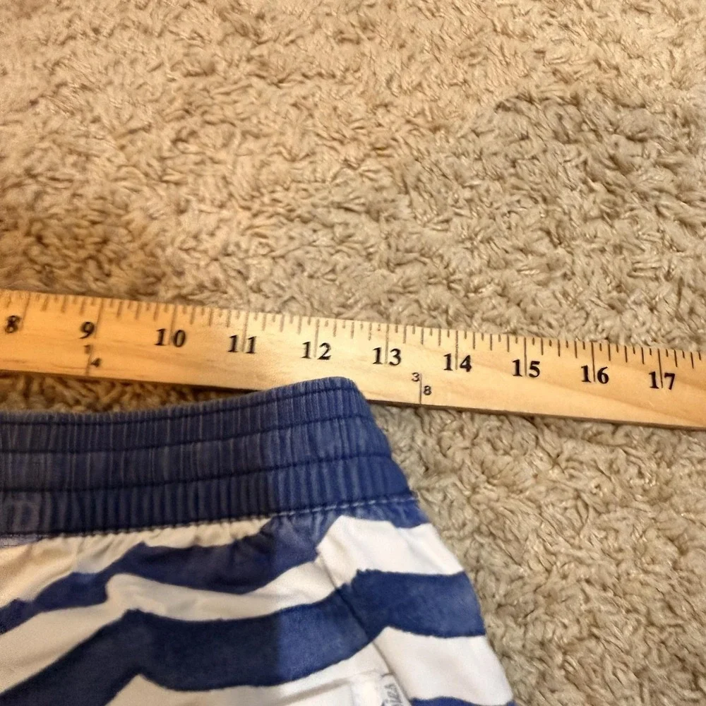 Chubbies Swim Shorts Mens Small Blue Wave Stripe Mesh Lined Quick Dry Trunks